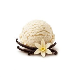 CLASSIC SCOOP VANILLA